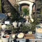 Treat Yourself to a Day at Terrain