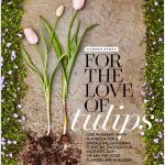 Tulip Party in Better Homes & Gardens