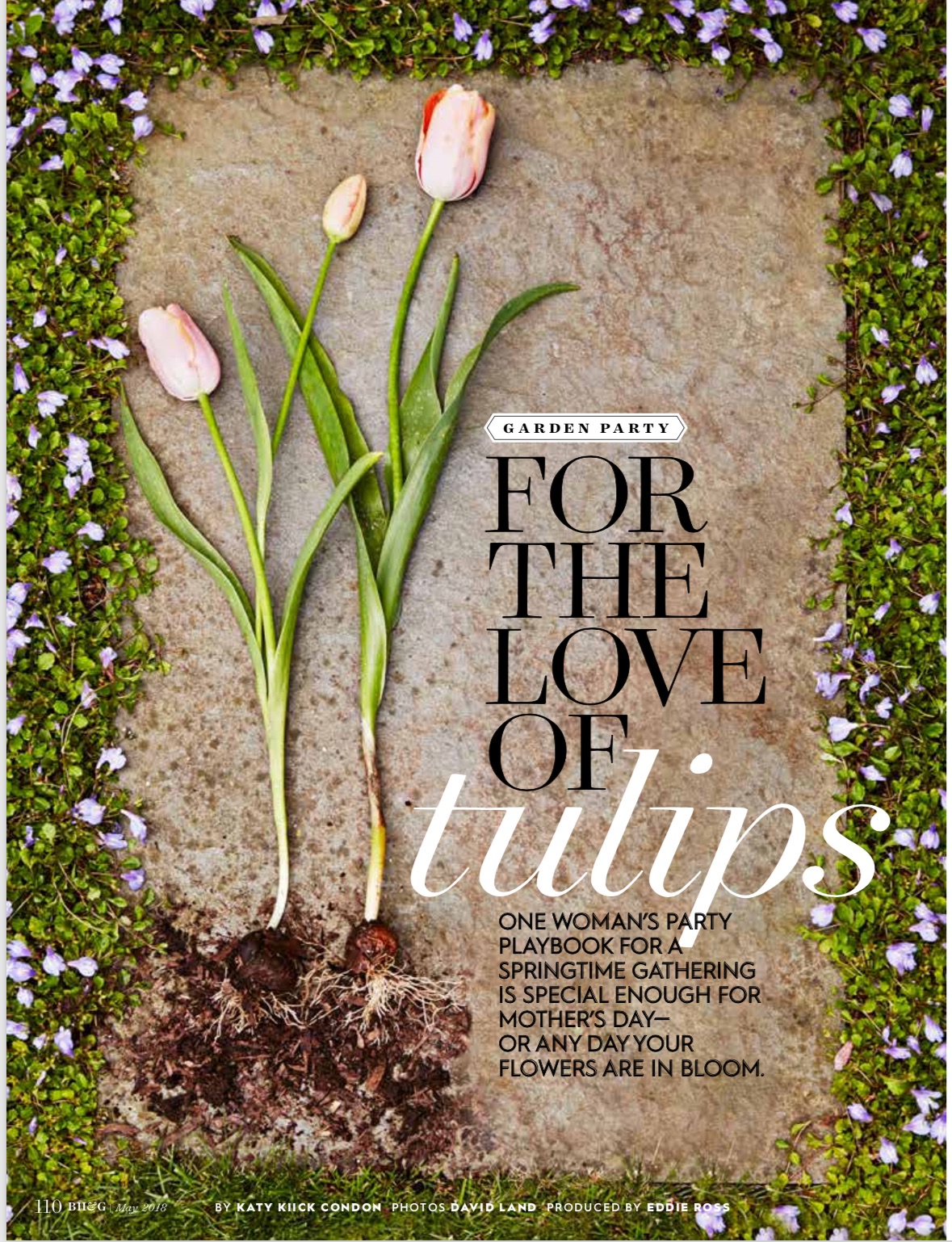 Tulip Party in Better Homes & Gardens